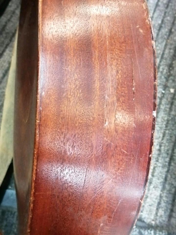 FRAMUS Amateur 5/1, Akustik-Gitarre, mit Gitarrengurt!!