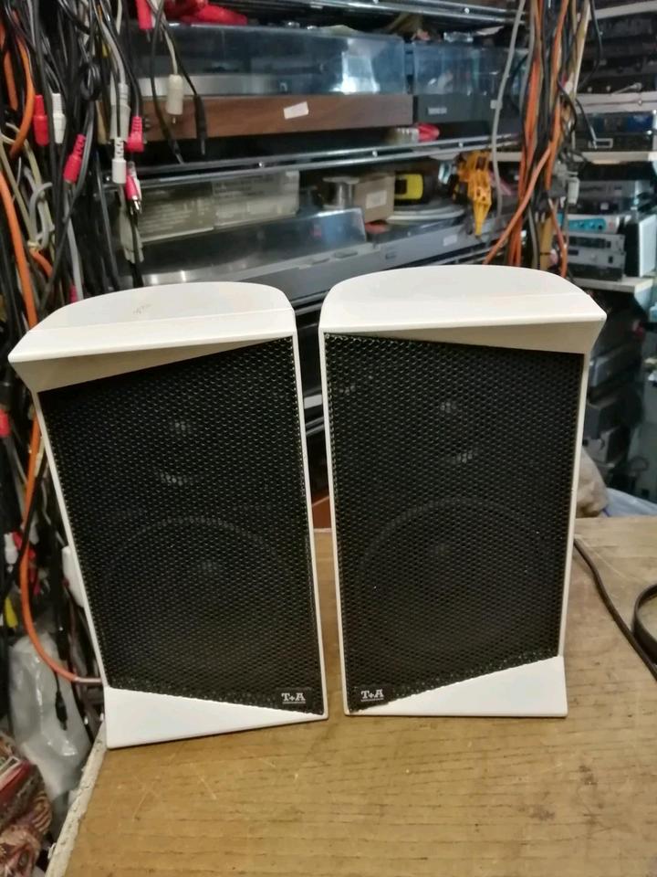 T+A HELIOS MINI, 2 kleine Lautsprecher, guter Zustand!!
