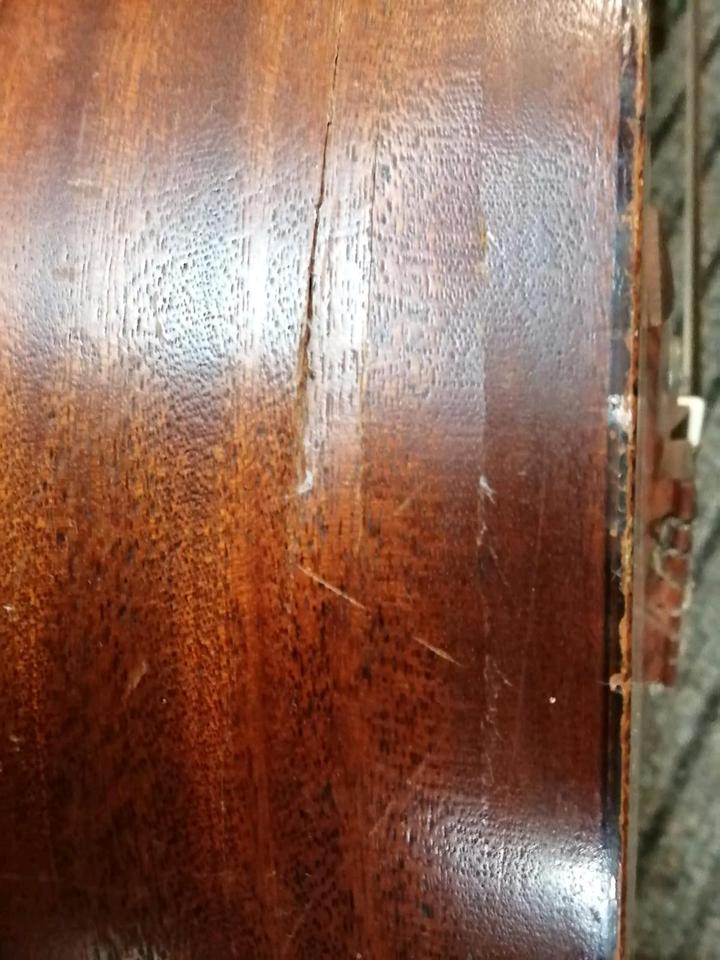 FRAMUS Amateur 5/1, Akustik-Gitarre, mit Gitarrengurt!!