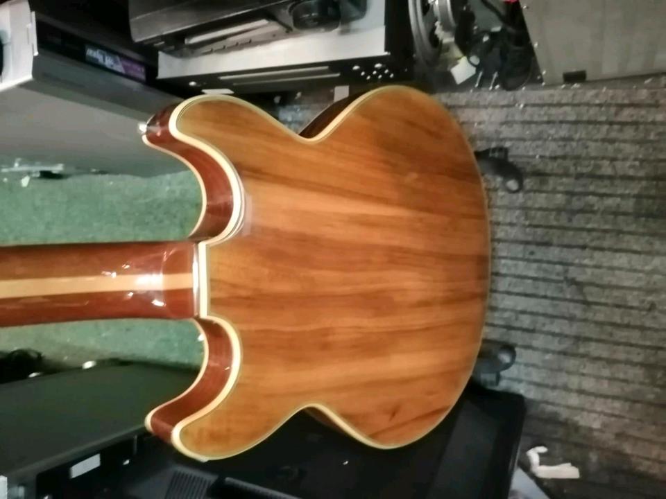 E-Gitarre "SPEAR", 1 Saite fehlt!