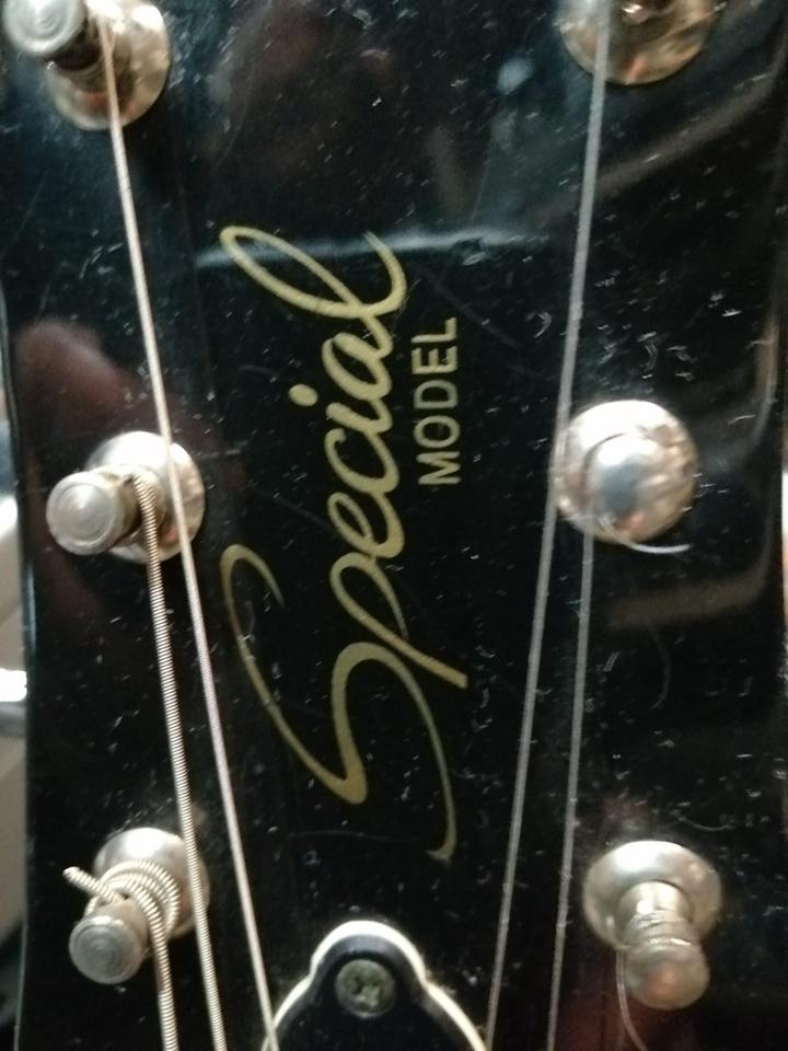 GIBSON Special Model von EPIPHONE, E-Gitarre mit 1 Tasche!!