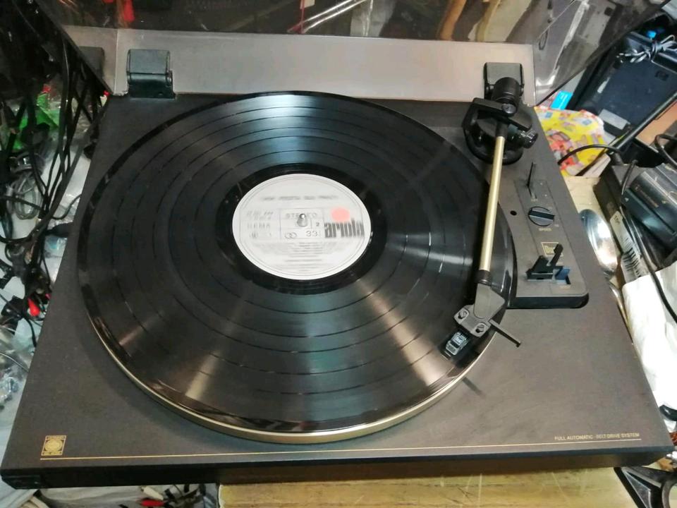 SCHNEIDER InConcert 6200PL, Plattenspieler + ORTOFON Nadelsystem!