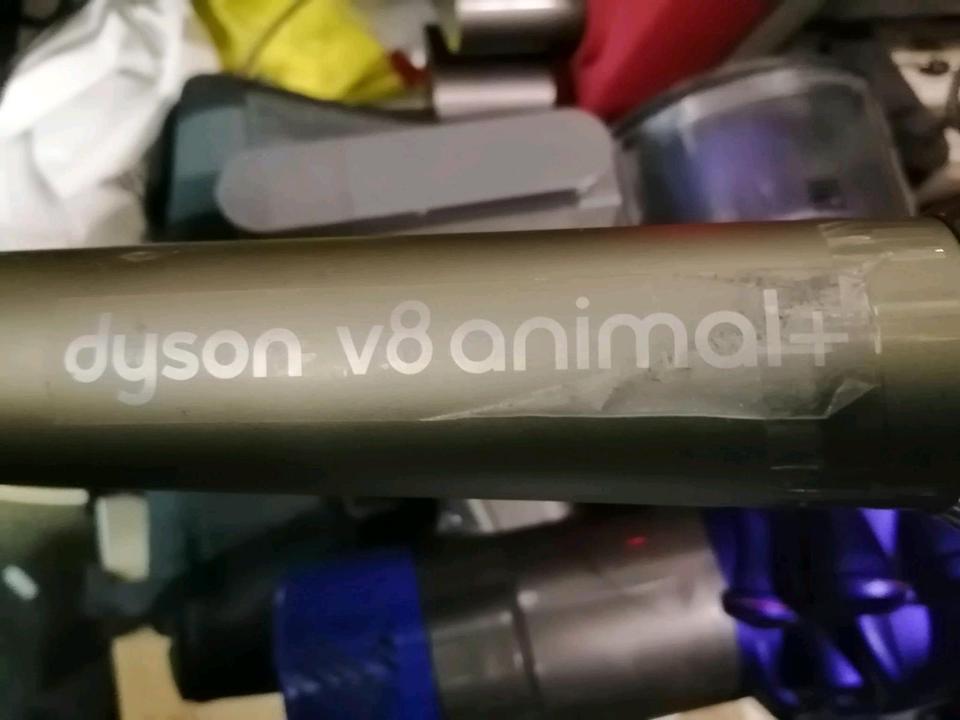 DYSON V8 absolute+, Akku-Staubsauger mit Zubehör!! guter Zustand!