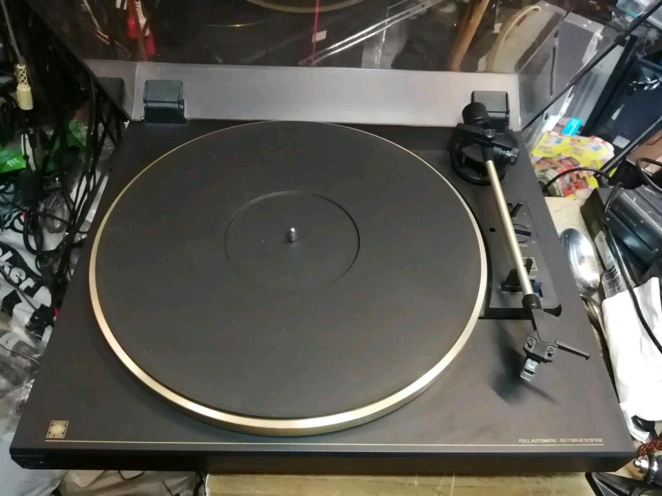 SCHNEIDER InConcert 6200PL, Plattenspieler + ORTOFON Nadelsystem!