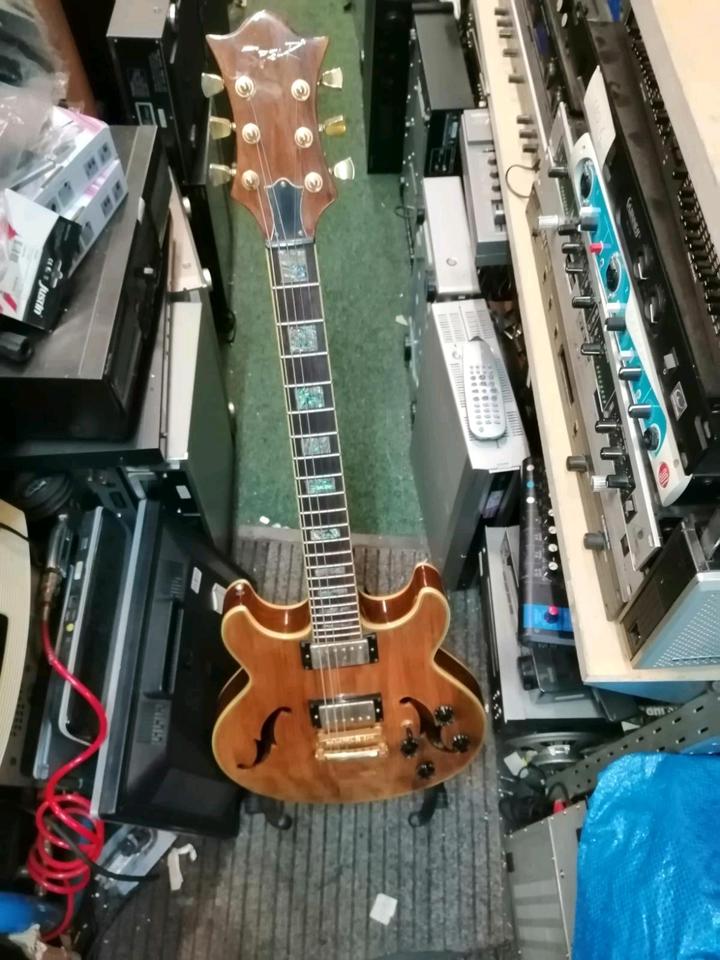 E-Gitarre "SPEAR", 1 Saite fehlt!