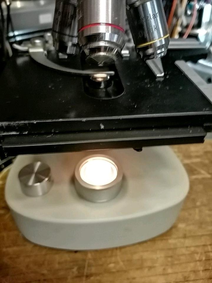 MIKROSKOP "Steinmar Berlin", guter Zustand!!