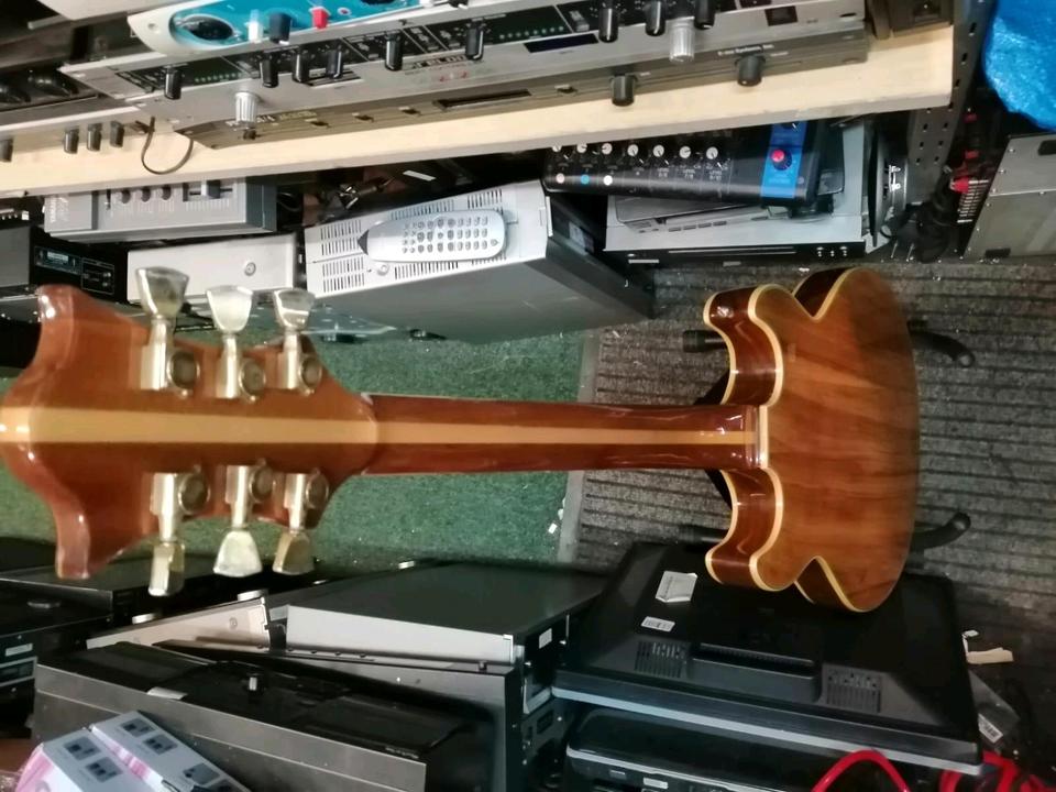 E-Gitarre "SPEAR", 1 Saite fehlt!