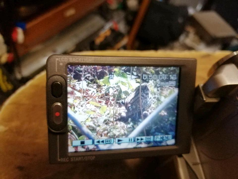 SONY DCR-PC109E, MiniDV-Videocamera mit Zubehör, guter Zustand!!  XXXXXXX