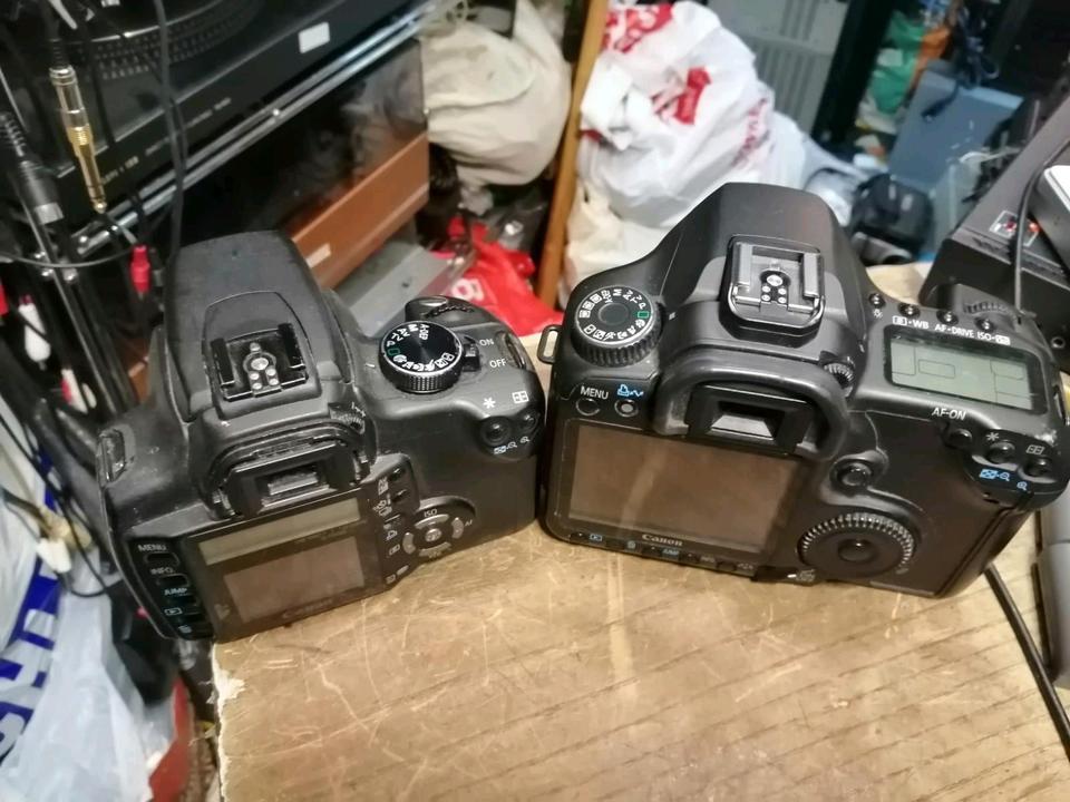 CANON EOS 40D + CANON EOS 350D, beide Kameras sind DEFEKT!!!