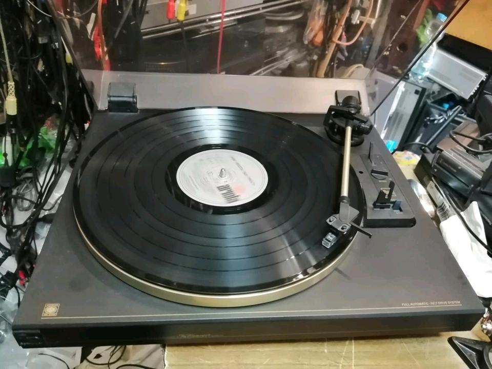 SCHNEIDER InConcert 6200PL, Plattenspieler + ORTOFON Nadelsystem!