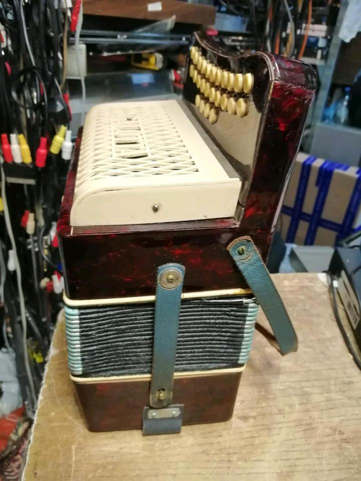 GALOTTA, Knopf - Akkordeon!!